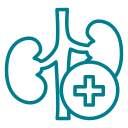 Urology Surgery